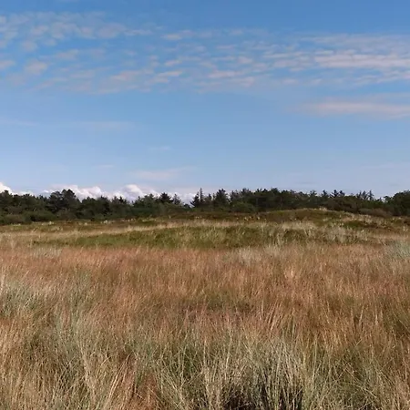 4 Star Holiday Home In Hemmet * Hemmet