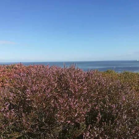 4 Star Holiday Home In Hemmet 度假居